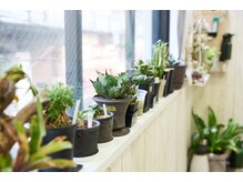 エルソア(elsoa,styles)の雰囲気（[下総中山駅/船橋エリア/メンズ/髪質改善/ブリーチ/ハイライト]）