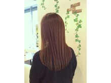 ドナダルテ(DONNA D)
