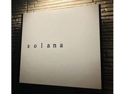 ソラナ(solana)の写真