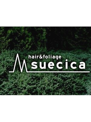 スエシカ(hair&foliage suecica)