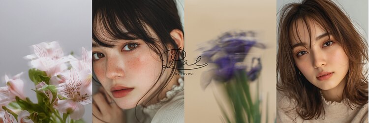 パル バイ ラベスト(Pal by lovest)のサロンヘッダー