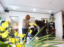 ヘアーブース ウイング(Hair-Booth Wing)