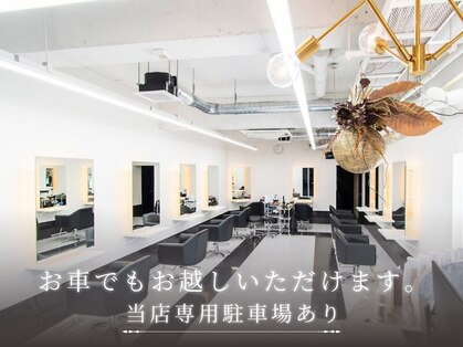 アリープアウル(ALEAP owl)の写真