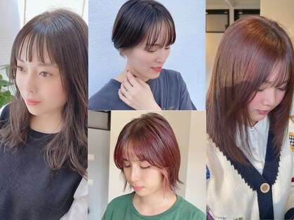 トッキー(tokki)の写真