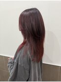 ウルフ×ボルドーカラー