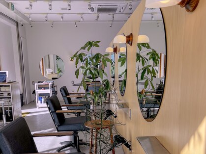 スタン 渋谷(Stam)の写真