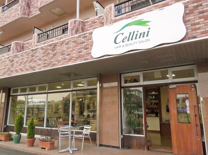 セェリーニの写真