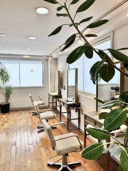 ヘアワークオーパス 吉祥寺(HAIR WORK OPUS)の写真/リニューアルオープン☆観葉植物のある店内で寛ぎながら綺麗になれます。大人向け上質サロン「OPUS吉祥寺」