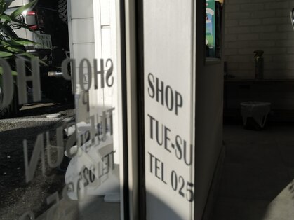 キューカンバー(CUCUMBER)の写真