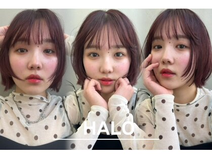 ハロ(HALO)の写真