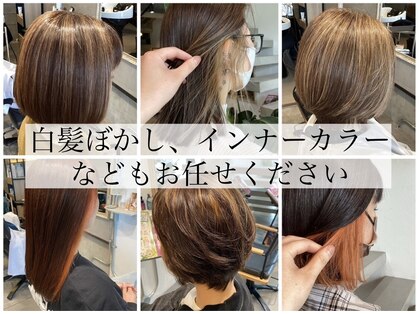 フルール(fleur)の写真