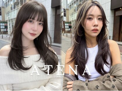アテナ(ATENA)の写真