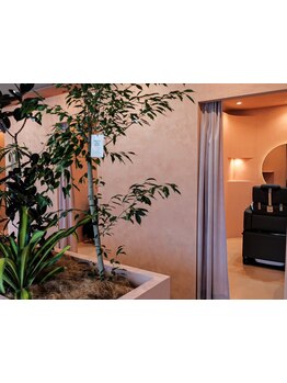 プライベート空間☆周りの目を気にせず、ゆったりとした時間をお過ごしください！【髪質改善/縮毛矯正】