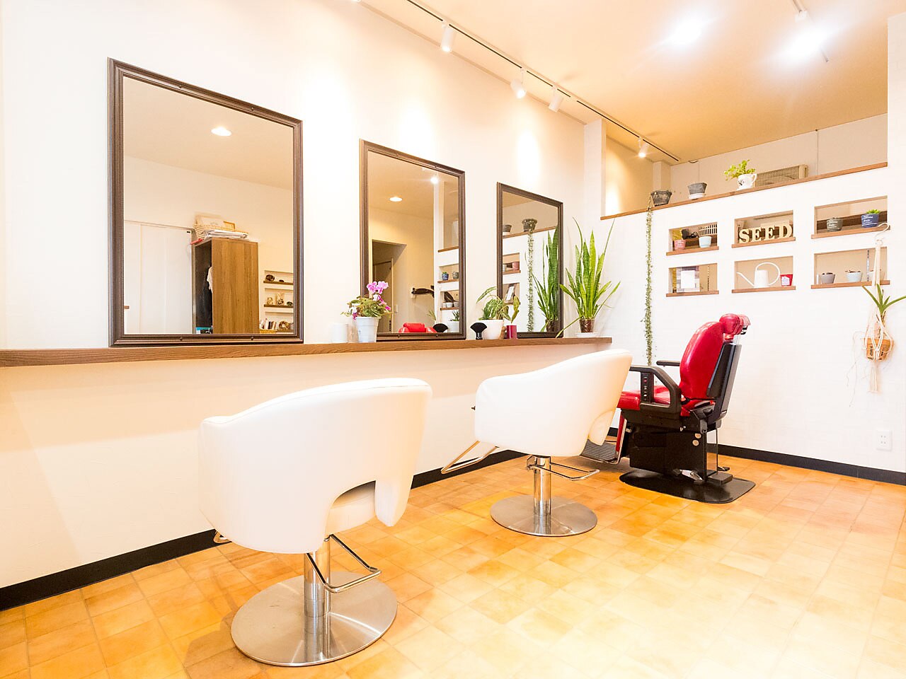 ヘア ルーム シード(Hair room seed)｜ホットペッパービューティー