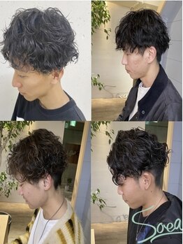 ソイア 春日井店(Soea)の写真/【春日井】取り扱いサロンが希少な《髪のデトックス》とオーガニックを中心とした髪質改善パーマ☆
