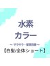 【白髪/全体ショート】　サラサラ・髪質改善コース　（水素カラー)　　