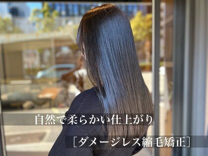 サルファ ヘアデザイン 名古屋 丸の内(S.ALPHA HAIR DESIGN)の写真