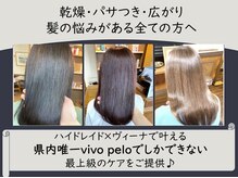 vivopeloでしか体験できない。髪質改善DTSSヘアエステ