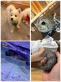 ビズヘアー マシェリ(bisou hair macherie)&nbsp;動物が好きでよく水族館や動物カフェなど行ってます！