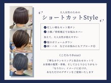 ヘアーアンドカラー プラーチェ 相模原(hair color Plaatje)の雰囲気（毎朝の時短になる、セルフケアが楽な再現性の高いショートが得意）