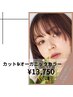 カット＋オーガニックカラー+シャンプー￥13750