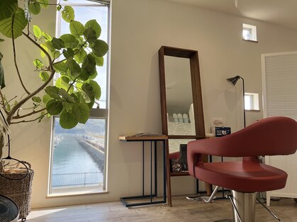 ココルル(KOKORURU)の写真