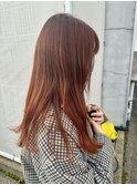 【ブラッドオレンジ】