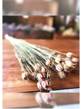 カミトハナ ドライフラワー販売も行っています♪お気軽にお立ち寄りください