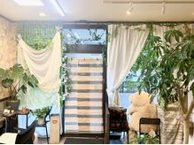 プティ ボワ(Petit bois)の雰囲気（葉っぱ増えてます！森になる予定ですがまだ林です。）