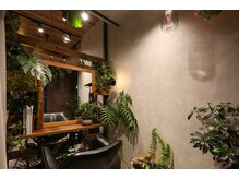 ハナワ エビス トウキョウ ヘアーサロン(HanaWa ebisu tokyo hair salon)の雰囲気（リニューアル改装しまして緑いっぱいの癒し空間を作りました。）