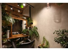 ハナワ エビス トウキョウ ヘアーサロン(HanaWa ebisu tokyo hair salon)の雰囲気（リニューアル改装しまして緑いっぱいの癒し空間を作りました。）