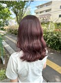 レッドパープルカラー