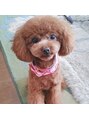 トラスト Trust&nbsp;トラストの中でも1番の愛犬家！！トイプードルを飼っています。