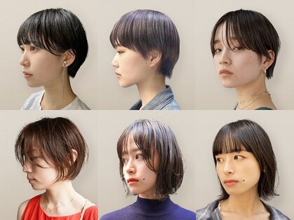 ブルートマト(BLUE TOMATO)の写真