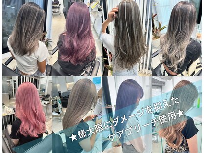 トリコ(torico)の写真