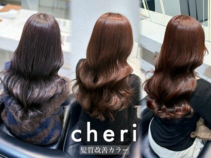 シェリ(Cheri)の写真