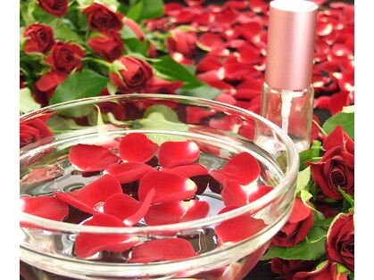 アコット(Acot)の写真