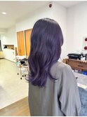 ダブルカラー　ヴァイオレット