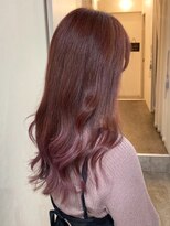 ルピナス(Lupine.)&nbsp;春にピッタリな暖色カラー♪