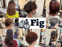 フィグ(Fig)