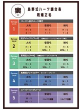 クセや部位に合わせた美髪縮毛矯正の薬剤選定