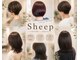 シープ(Sheep)の写真