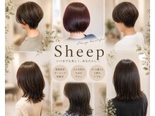 シープ(Sheep)
