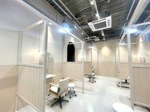 シダ(sida)