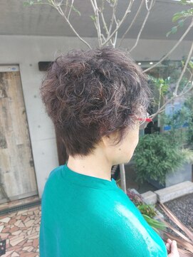 タエビスアリッサム(Taebis Alyssum) 3Dカラー(白髪ぼかし、北習志野)