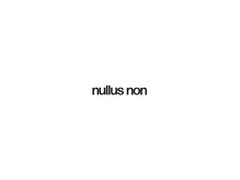 ヌールス(nullus non)
