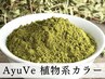 【AyuVeオーガニックハーブカラー】ヘナ(AyuVe)カラー3回コース