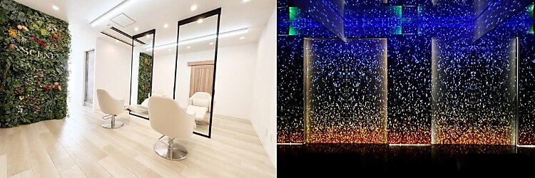 シーン(SCENE)のサロンヘッダー