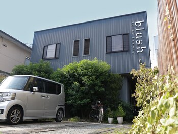 Total Beauty blush【トータルビューティ　ブラッシュ】