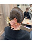 タイトシニヨン